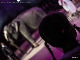 Családi hétvége a Fővárosi Nagycirkuszban